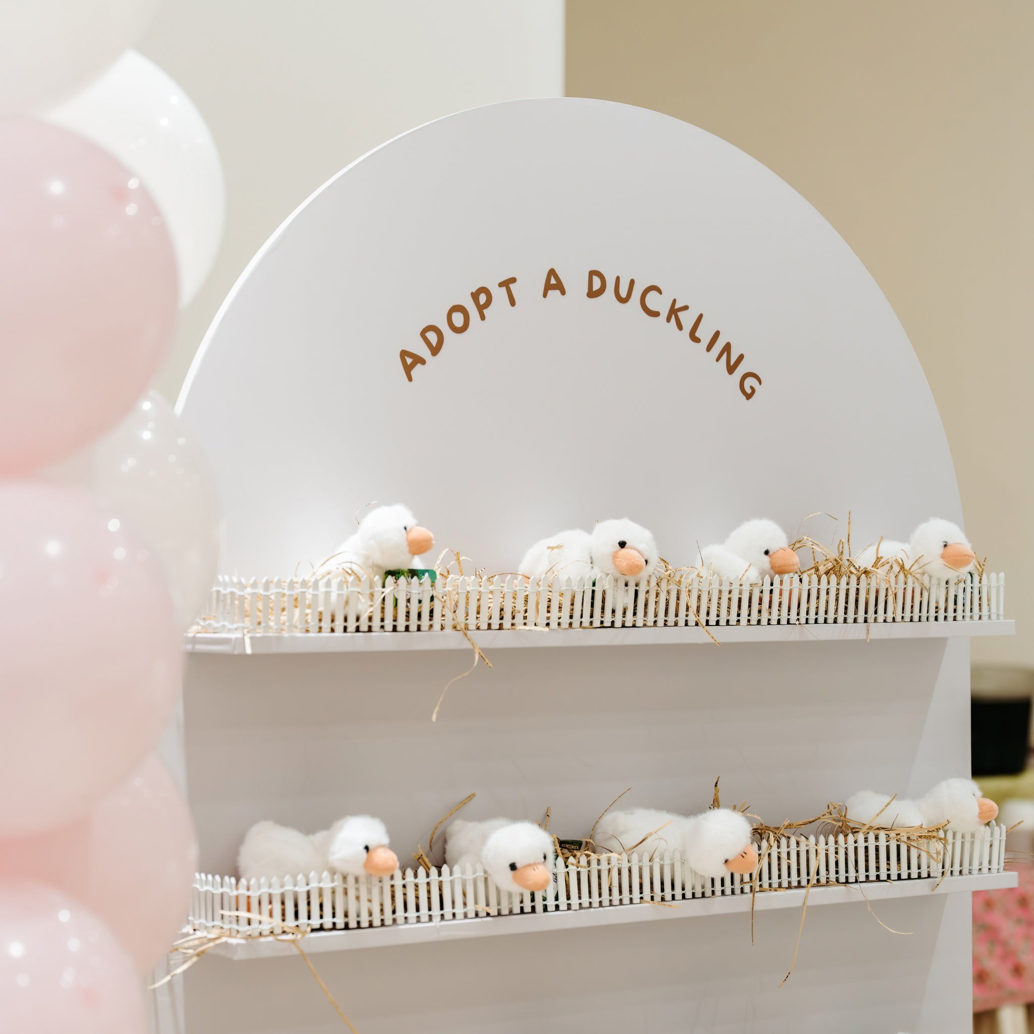 Party Favour Wall